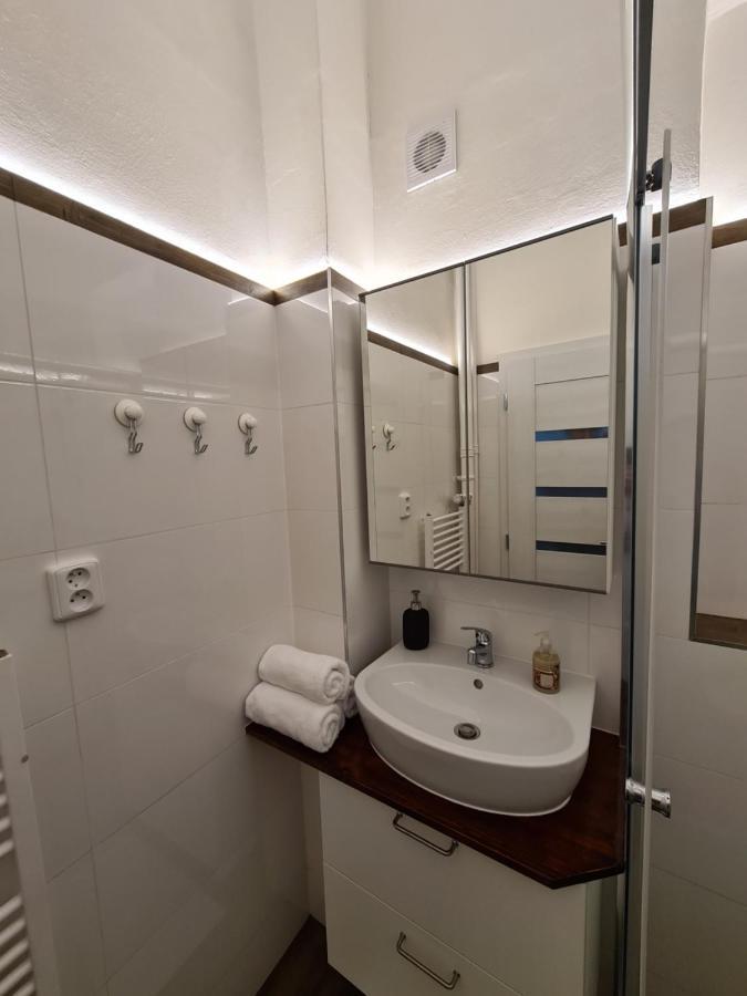 Svetly Prostorny Byt V Karline Apartment Prague Ngoại thất bức ảnh
