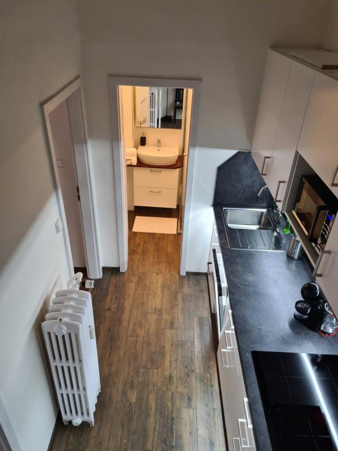 Svetly Prostorny Byt V Karline Apartment Prague Ngoại thất bức ảnh