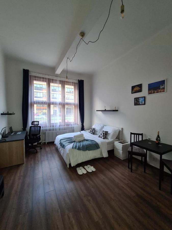 Svetly Prostorny Byt V Karline Apartment Prague Ngoại thất bức ảnh