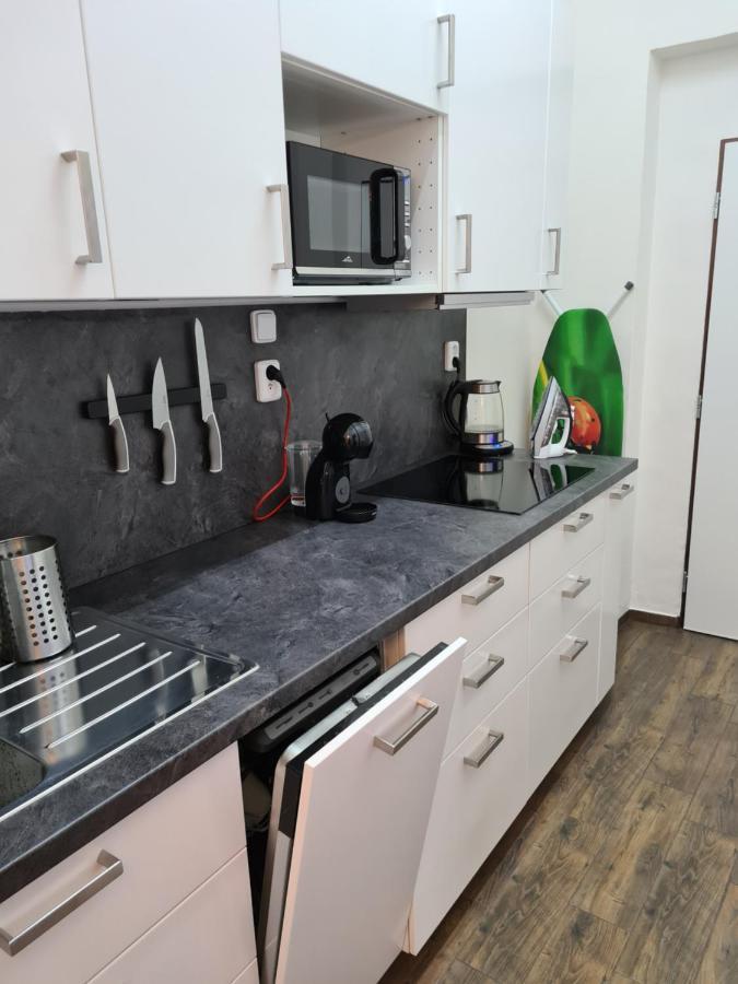 Svetly Prostorny Byt V Karline Apartment Prague Ngoại thất bức ảnh