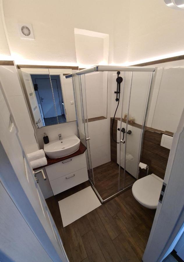 Svetly Prostorny Byt V Karline Apartment Prague Ngoại thất bức ảnh