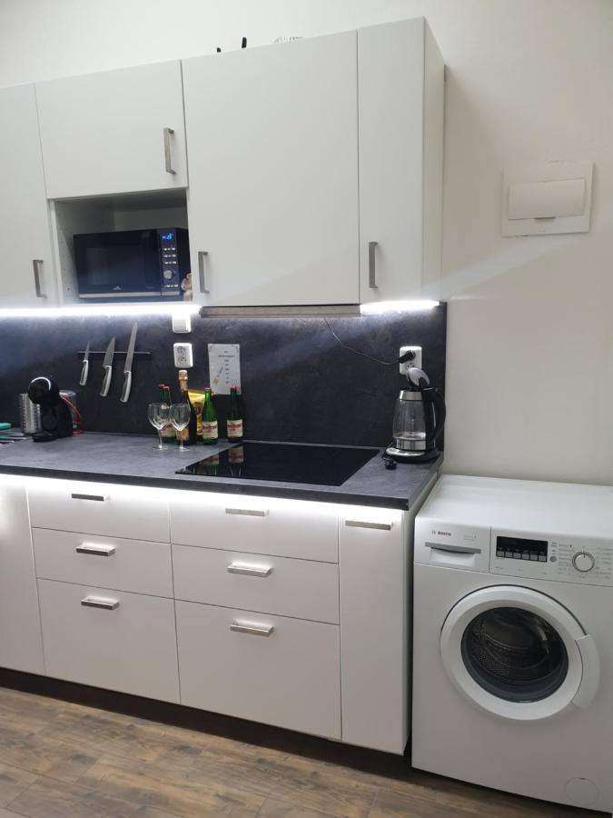 Svetly Prostorny Byt V Karline Apartment Prague Ngoại thất bức ảnh